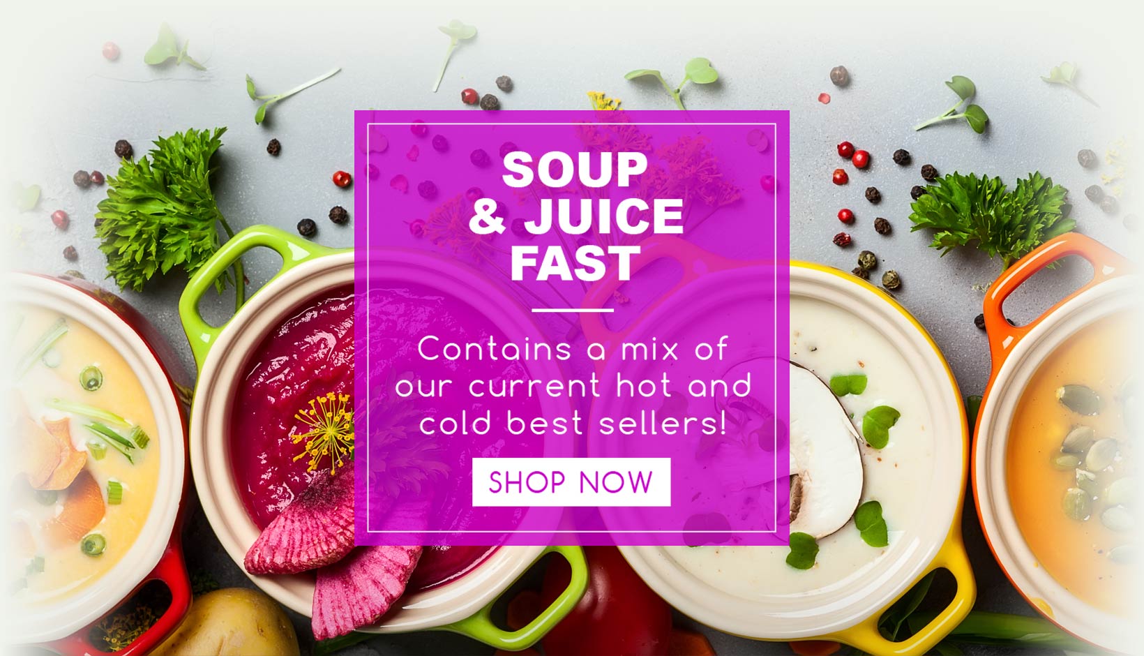 My Detox Diet Plant Based Vegan Food, Soup & Juice Cleanses